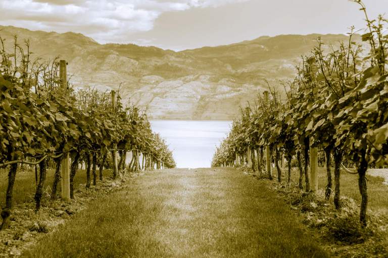 Real Estate Photography. Property photos of the vineyards in Kelowna