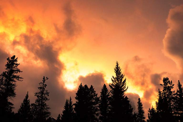 An image of the sky around a forest fire